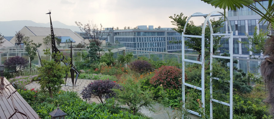 南京萬(wàn)通城市建設(shè)設(shè)計(jì)院弱電系統(tǒng)項(xiàng)目案例。